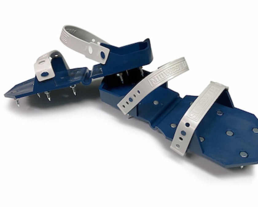 Spiked Shoe
